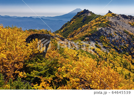 南アルプス・鳳凰三山・観音岳稜線から見る富士山と薬師岳の岩峰 64645539