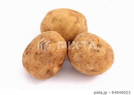 じゃがも（ニシユタカ） 64646023