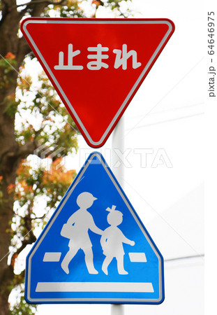 通学路のｈ交通標識の写真素材
