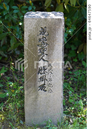 五智国分寺境境内(親鸞聖人の配所・竹之内草庵) 五智国分寺境境内(親鸞聖人の配所・竹之内草庵) 64647590