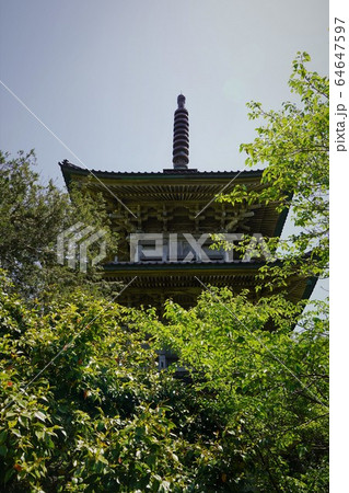 五智国分寺境境内(親鸞聖人の配所・竹之内草庵) 五智国分寺境境内(親鸞聖人の配所・竹之内草庵) 64647597