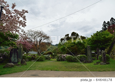 兵庫県豊岡の出石城跡 64648178