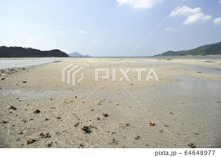 干潮時に現れる砂浜(奄美大島) 干潮時に現れる砂浜(奄美大島) 64648977