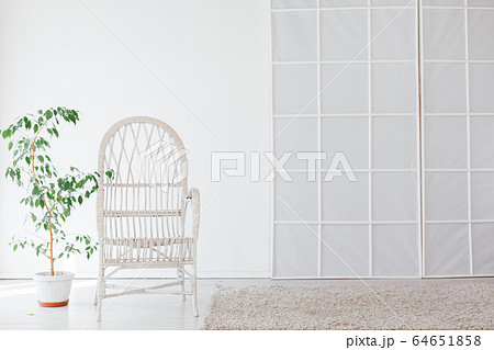white chair with green home plant in the interior of the room 64651858