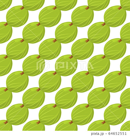 Theme big colored seamless gooseberry Theme big colored seamless gooseberry 64652551