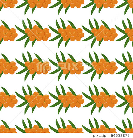 Theme big colored seamless sea buckthorn 64652875