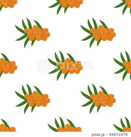 Theme big colored seamless sea buckthorn 64652876