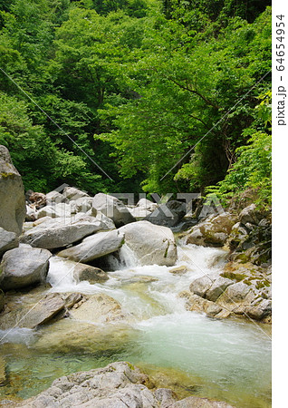 尾白川渓谷（山梨県北杜市） 64654954