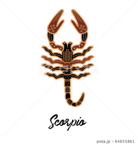 Zodiac sign Scorpio. The symbol of the astrological horoscope. Zodiac sign Scorpio. The symbol of the astrological horoscope. 64655861