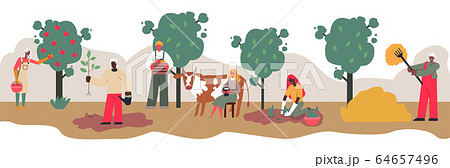 Farm work banner with cartoon people harvesting apples from orchard trees Farm work banner with cartoon people harvesting apples from orchard trees 64657496