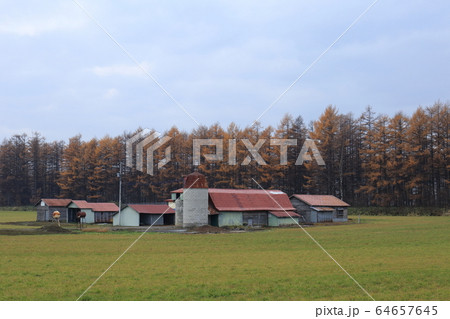 北海道　十勝地方　牧場のある風景 64657645