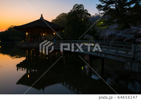 浮見堂と鷺池 夕焼け風景 (奈良県奈良市 奈良公園) 浮見堂と鷺池 夕焼け風景 (奈良県奈良市 奈良公園) 64658147