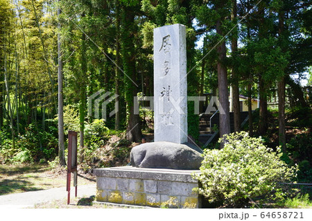 居多神社（こたじんじゃ）新潟県上越市五智にある神社 64658721