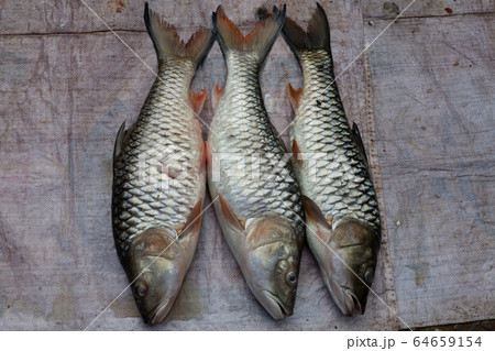 Fish at market Fish at market 64659154