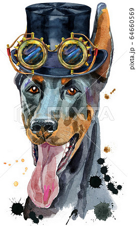 Watercolor Portrait Doberman In Cylinder Hat Andのイラスト素材