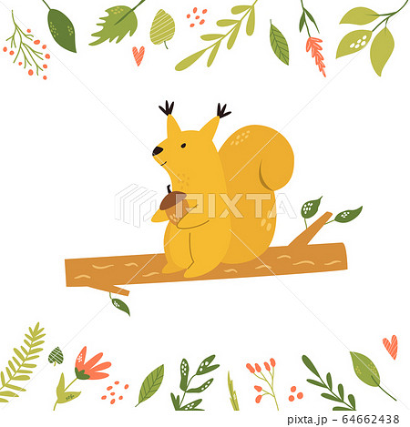 Bright floral card with cute squirrel on a branch 64662438