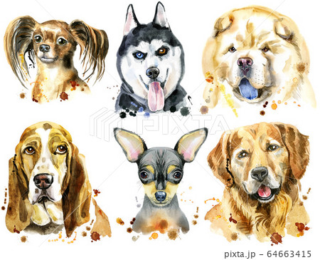 Set of watercolor portraits of dogs for decoration Set of watercolor portraits of dogs for decoration 64663415