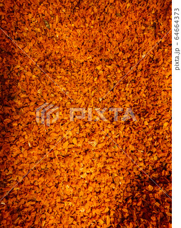 lots of orange spices to eat like a background lots of orange spices to eat like a background 64664373