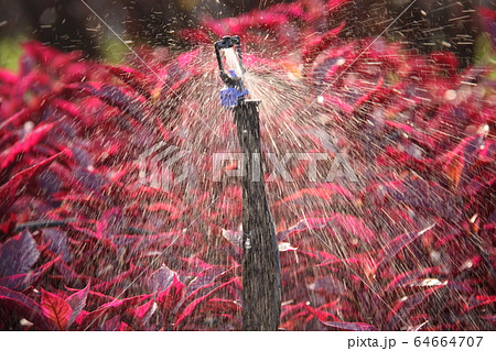 スプリンクラー 64664707