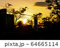 夕景 夕景 64665114