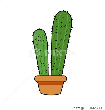 Isolated cactus icon 64665711