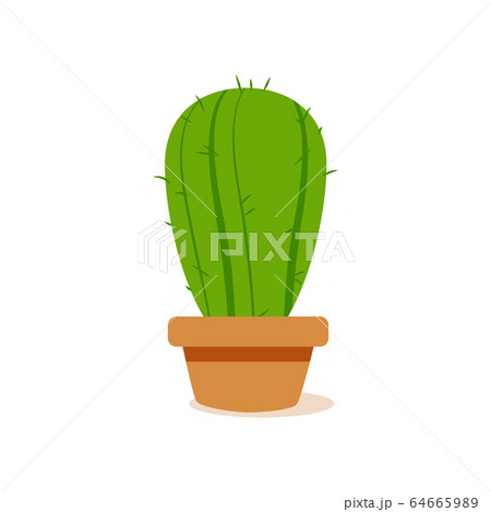 Isolated cactus icon Isolated cactus icon 64665989