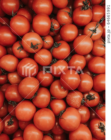 lots of red ripe tomatoes for eating like a background 64665991
