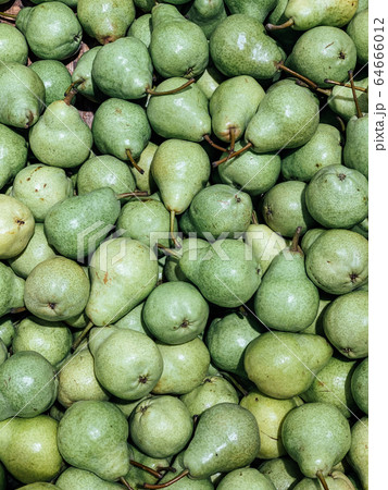 lots of delicious ripe pears for healthy food like the background 64666012