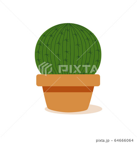 Isolated cactus icon Isolated cactus icon 64666064