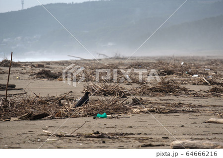 カラスと自然災害イメージ 64666216