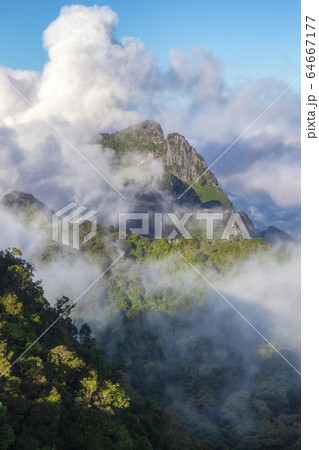 Great view of the foggy at Doi Luang Chiang Dao Great view of the foggy at Doi Luang Chiang Dao 64667177