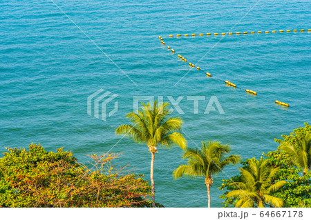 Beautiful tropical nature of beach sea ocean bay around coconut palm tree Beautiful tropical nature of beach sea ocean bay around coconut palm tree 64667178