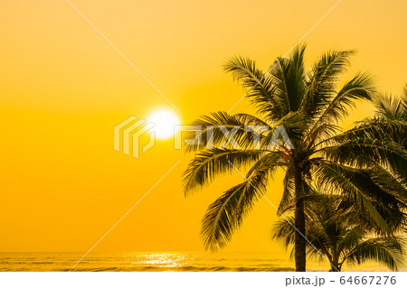 Beautiful nature with palm tree around sea ocean beach at sunset or sunrise Beautiful nature with palm tree around sea ocean beach at sunset or sunrise 64667276