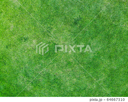 top view of green grass texture background. top view of green grass texture background. 64667310