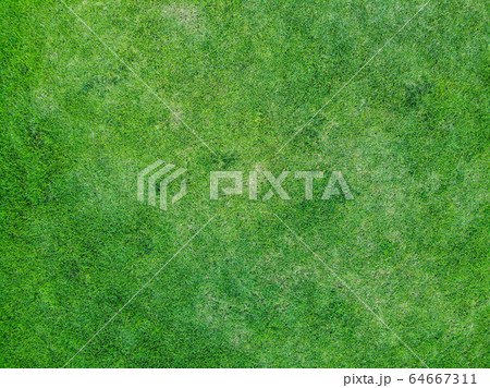 top view of green grass texture background.  64667311