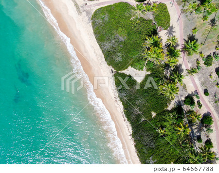 Aerial view of tropical ocean and palm trees forest during sunny day. Praia do Forte 64667788