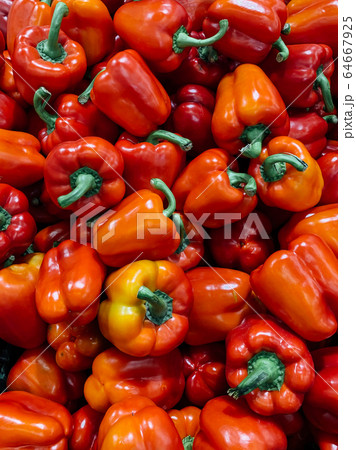 lots of ripe delicious Bulgarian peppers for eating a background 64667925