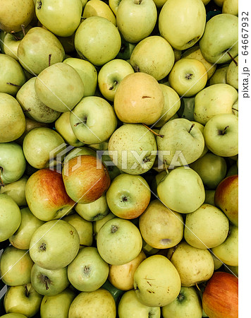 lots of ripe delicious sweet apples to eat like a background 64667932