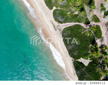 Aerial view of tropical ocean and palm trees forest during sunny day. Praia do Forte 64668113
