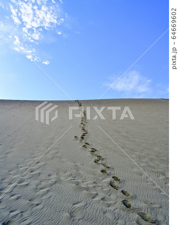 頂上まで続く足跡が残る砂丘の情景＠鳥取 64669602