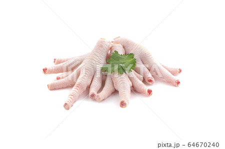 Chicken feets an isolated on white background 64670240