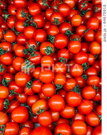 lots of red ripe tomato for eating like a background 64670918