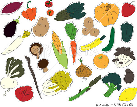 野菜のセット1 夏 秋 のイラスト素材