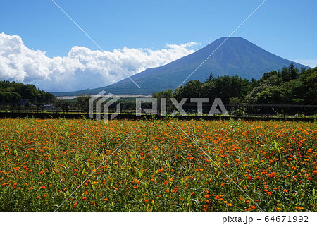 富士山 富士山 64671992