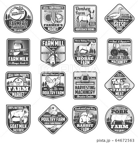 Agriculture farming icons, cattle and poultry farm 64672563