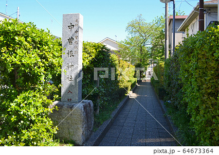 東京都足立区本木にある、中曽根神社・中曽根城跡 64673364
