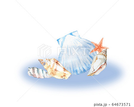 貝殻水彩画のイラスト素材