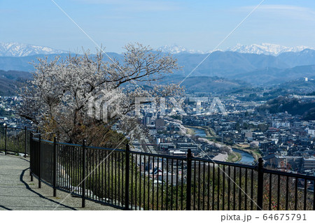 金沢の卯辰山の桜 金沢の卯辰山の桜 64675791