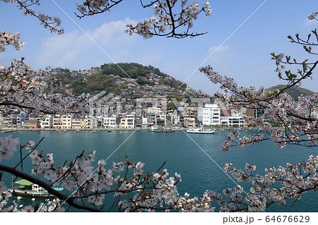 尾道の向島の兼吉の桜越しに見た千光寺 64676629