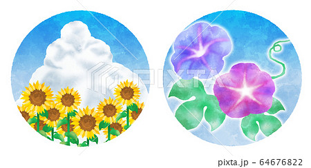 向日葵と朝顔 水彩風イラストのイラスト素材